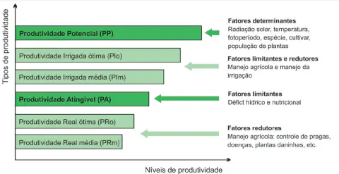 gráfico de barras horizontais que ilustra os diferentes níveis e tipos de produtividade agrícola, desde