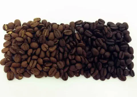 uma comparação visual direta entre dois níveis distintos de torra de grãos de café, dispostos lado a lado sobr