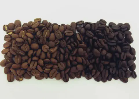 uma comparação visual direta entre dois níveis distintos de torra de grãos de café, dispostos lado a lado sobr