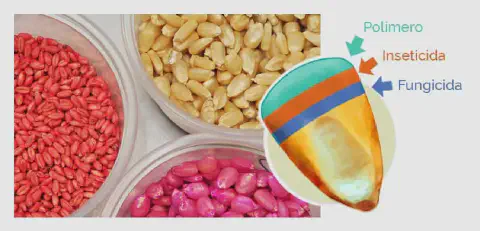 conceito de tratamento de sementes na agricultura. No lado esquerdo, são exibidos três recipientes transpa