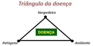 diagrama esquemático conhecido como ‘Triângulo da Doença’, um conceito fundamental em fitopatologia. No cen