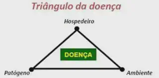diagrama esquemático conhecido como 'Triângulo da Doença', um conceito fundamental em fitopatologia. No cen