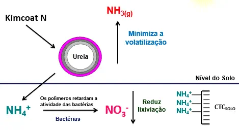 infográfico técnico que ilustra o mecanismo de ação do fertilizante de liberação controlada Kimcoat N, uma tecn