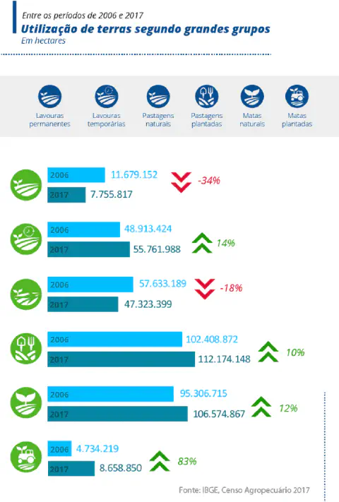 Infográfico: uso de terras por grupos no Brasil - comparação 2006 e 2017