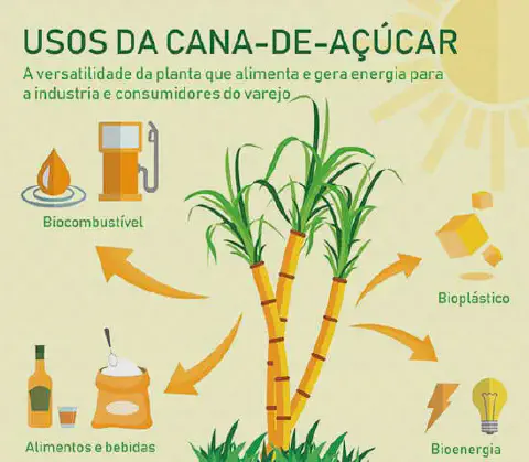 Este infográfico ilustra a notável versatilidade da cana-de-açúcar, uma cultura fundamental para o agronegócio. No centro da