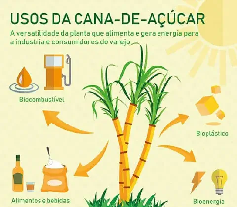 Este infográfico ilustra a notável versatilidade da cana-de-açúcar, uma cultura fundamental para o agronegócio. No centro da