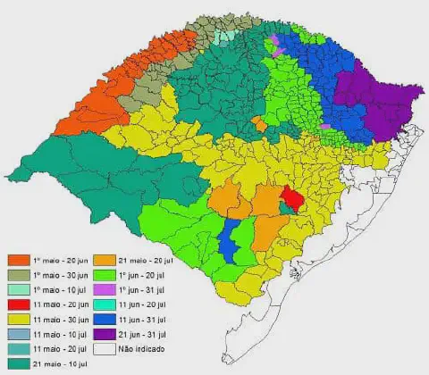 mapa do estado do Rio Grande do Sul, detalhadamente dividido por municípios e colorido em diferentes zonas.