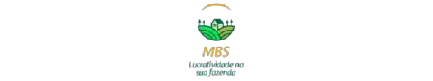 MBS Pinheiro Consult