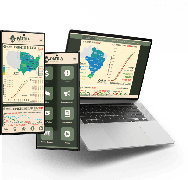 Consultoria de Mercado Agrícola