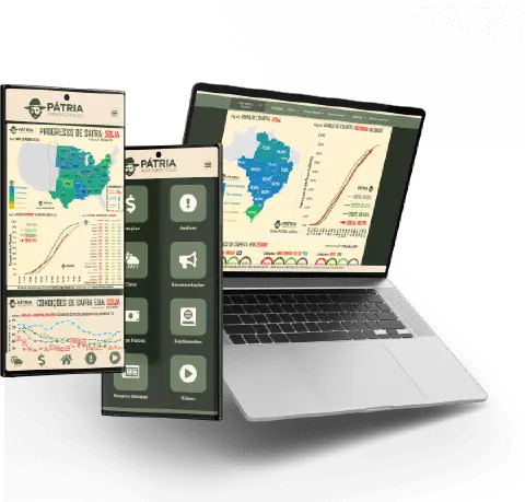 Consultoria de Mercado Agrícola