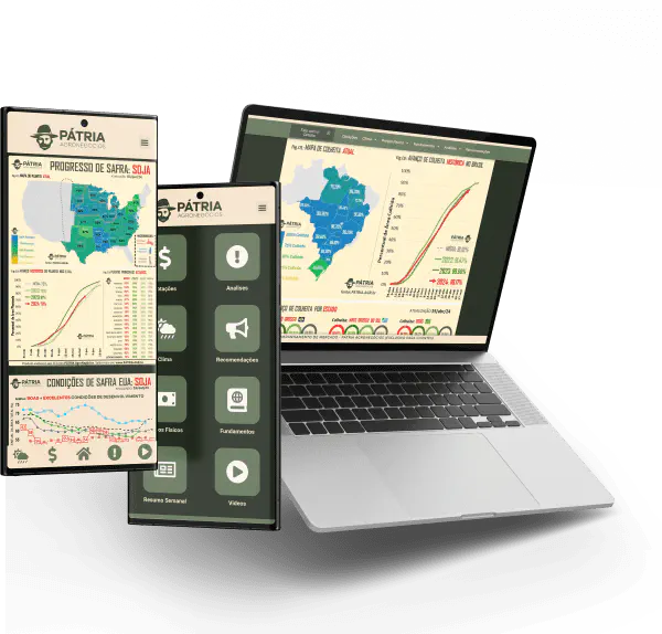 Consultoria de Mercado Agrícola