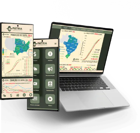 Consultoria de Mercado Agrícola
