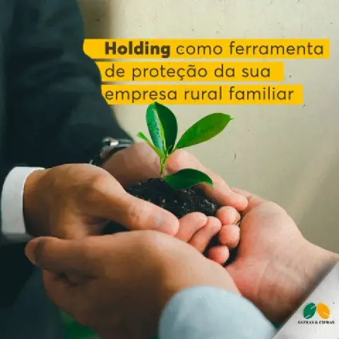 Consultoria em Holding Familiar