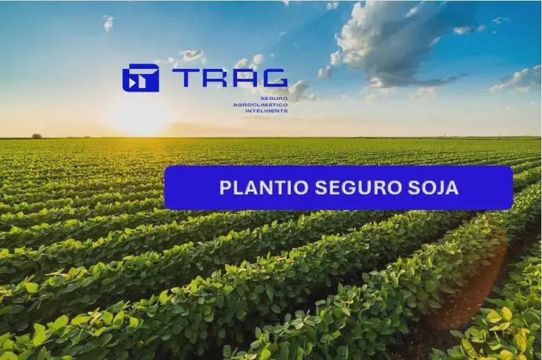 Plantio Seguro Soja