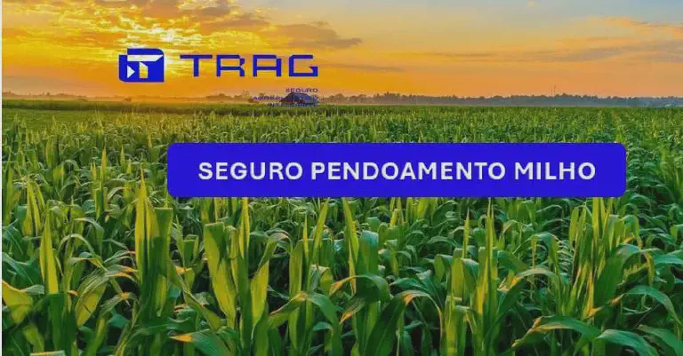 Seguro Pendoamento Milho