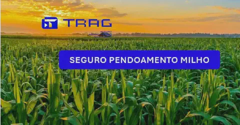 Seguro Pendoamento Milho