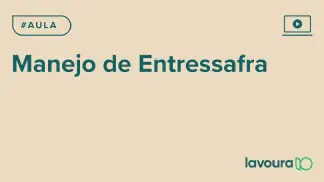 Miniatura do artigo: Módulo 2 - Aula 1: Manejo Estratégico de Plantas Daninhas na Entressafra