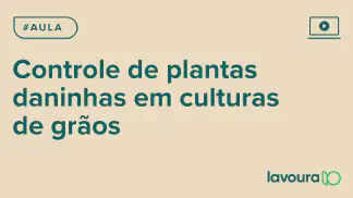 Miniatura do artigo: Módulo 2 - Aula 3: Controle de Plantas Daninhas em Soja, Milho e Feijão