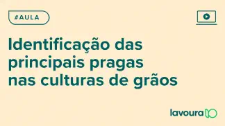 Miniatura do artigo: Módulo 3 - Aula 2: Identificação Visual e Níveis de Controle das Principais Pragas em Grãos