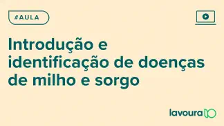 Miniatura do artigo: Módulo 4 - Aula 1: Identificação e Controle de Doenças em Milho, Soja e Sorgo