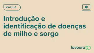 Miniatura do artigo: Módulo 4 - Aula 1: Identificação e Controle de Doenças em Milho, Soja e Sorgo