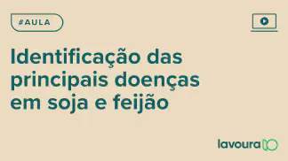 Miniatura do artigo: Módulo 4 - Aula 2: Identificação e Controle de Doenças em Soja e Feijão