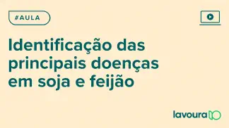 Miniatura do artigo: Módulo 4 - Aula 2: Identificação e Controle de Doenças em Soja e Feijão