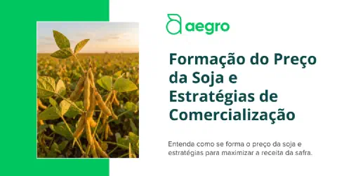 Miniatura do curso: Formação do Preço da Soja e Estratégias de Comercialização