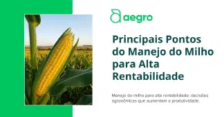 Miniatura do artigo: Principais Pontos do Manejo do Milho para Alta Rentabilidade