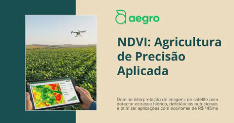 NDVI: Agricultura de Precisão Aplicada