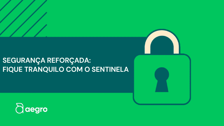 Sentinela: Seu Acesso Seguro na Aegro