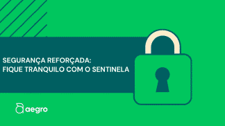 Miniatura do artigo de Seguranca: Sentinela: Seu Acesso Seguro na Aegro