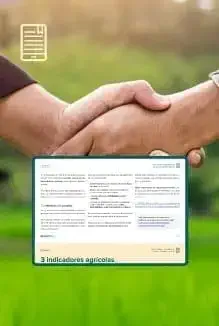 Como evoluir o atendimento da sua consultoria agrícola