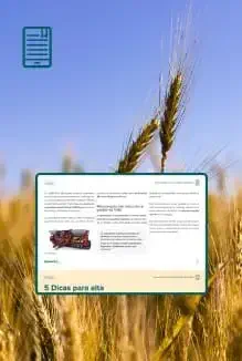 Guia completo sobre as culturas de inverno