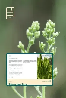 Plantas Daninhas
