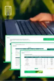 5 planilhas para controle da fazenda
