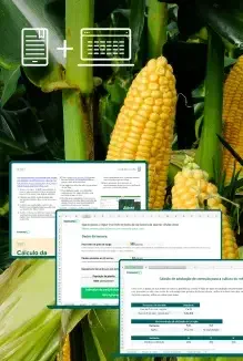 Kit de produção rentável de milho