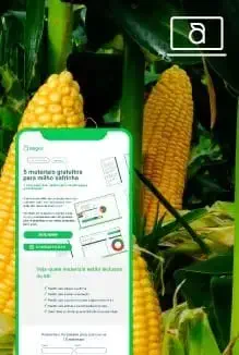 Kit Safrinha de Milho