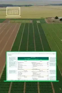 Planilha de Balanço Patrimonial
