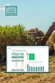 Planilha de cálculo do ponto de renovação do canavial