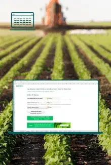 Estimativa da Produtividade da Soja