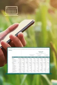 Fluxo de Caixa da Empresa Rural