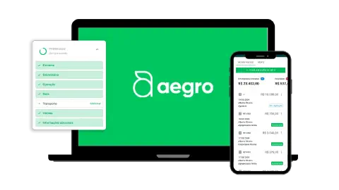 Emissão de Nota Fiscal Eletrônica pelo Aegro.