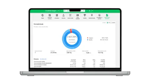 Contador analisando painéis financeiros e dando consultoria.