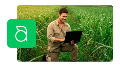 Painel integrado do Aegro mostrando dados do campo e financeiros.