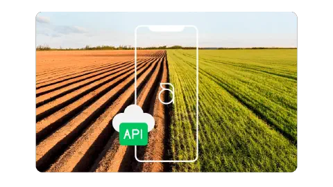 Visualização da ajuda da API pública do Aegro.