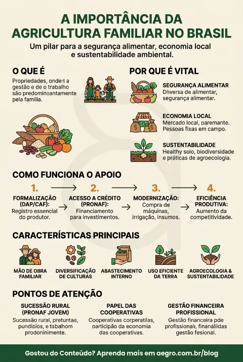Infográfico educativo sobre A Importancia Da Agricultura Familiar