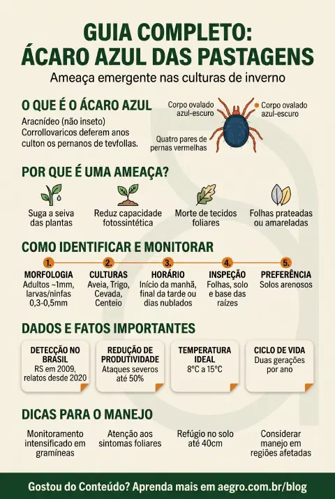 Infográfico educativo sobre Ácaro Azul Das Pastagens
