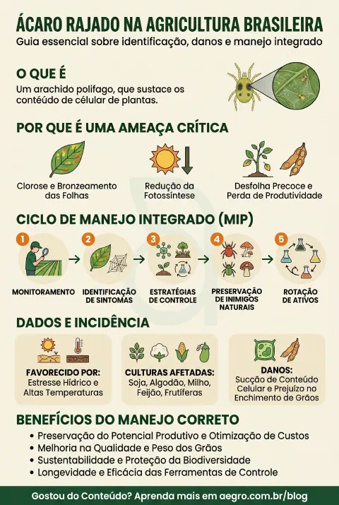 Infográfico educativo sobre Ácaro Rajado
