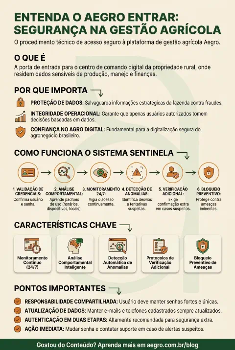 Infográfico educativo sobre Aegro Entrar
